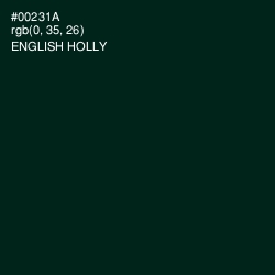 #00231A - English Holly Color Image